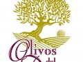 OLIVOSDELDUERO