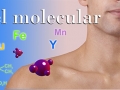 molecular